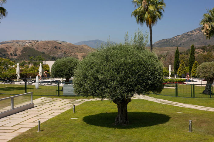 Image No.11-3 Bed Apartment for sale