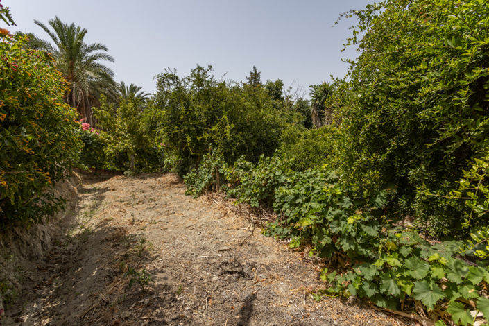 Image No.28-3 Bed Villa for sale