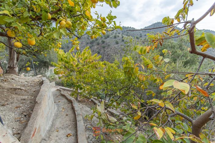 Image No.33-Maison / Villa de 5 chambres à vendre à Frigiliana