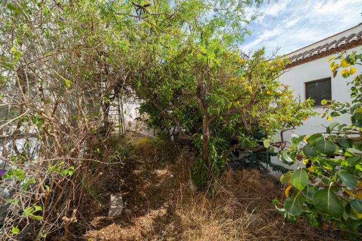 Image No.30-Maison de village de 3 chambres à vendre à Frigiliana