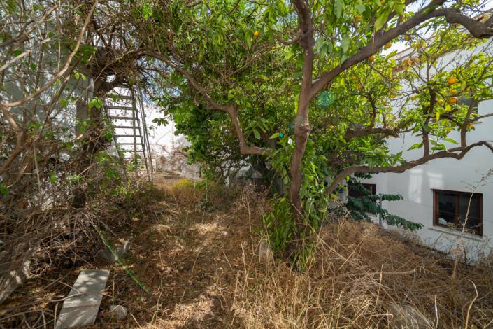 Image No.31-Maison de village de 3 chambres à vendre à Frigiliana