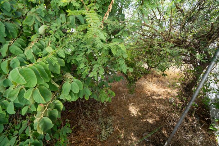 Image No.35-Maison de village de 3 chambres à vendre à Frigiliana