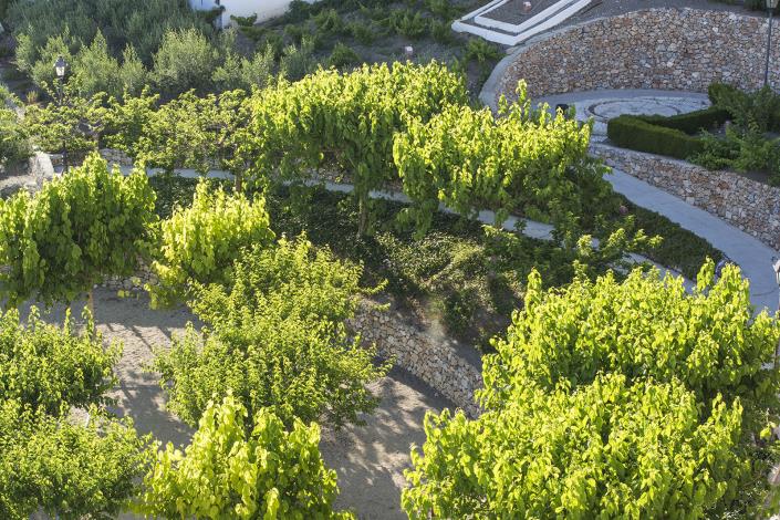 Image No.31-3 Bed Apartment for sale