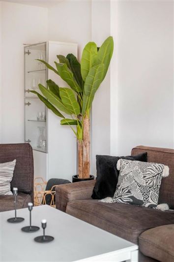 Image No.7-3 Bed Apartment for sale