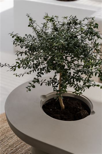 Image No.24-2 Bed Apartment for sale