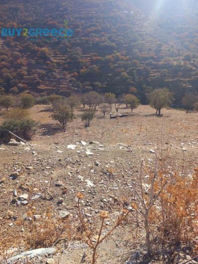 Image No.2-Plot for sale