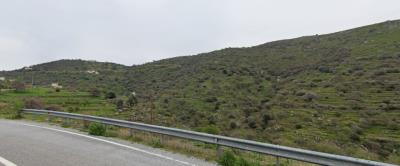 img_ae6363bb-e550-467e-9d22-54cdd27d099a