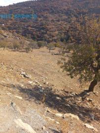 img_b99a15ad-0d80-4cbc-9862-9d717ef8ac5e