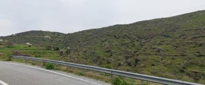 Thumb_ae6363bb-e550-467e-9d22-54cdd27d099a