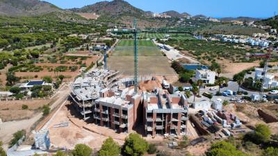 ORQ-PHOTO-2025-08-11-15-34-52