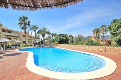 Pool-Las-Palmeras
