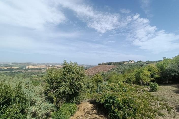 Image No.30-Maison de 3 chambres à vendre à Moscufo