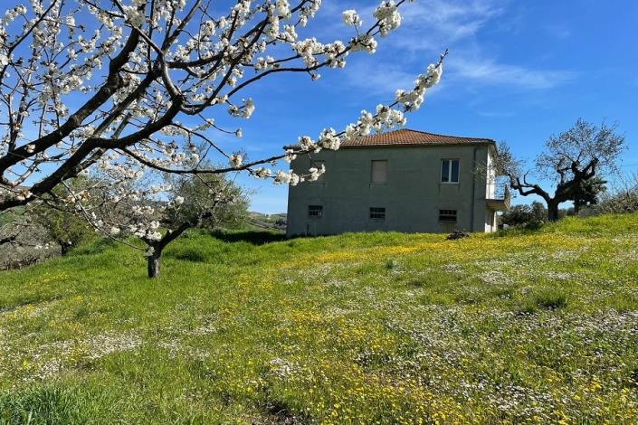 Image No.4-3 Bed Country House for sale