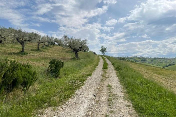 Image No.18-3 Bed Country House for sale