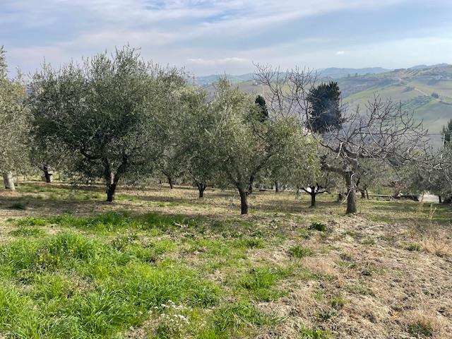 Image No.3-Maison de 6 chambres à vendre à Montefino