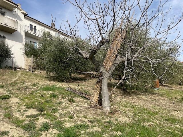 Image No.29-Maison de 6 chambres à vendre à Montefino