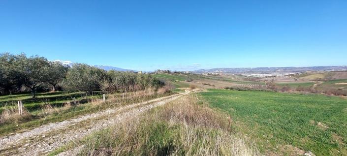 Image No.5-4 Bed Country House for sale