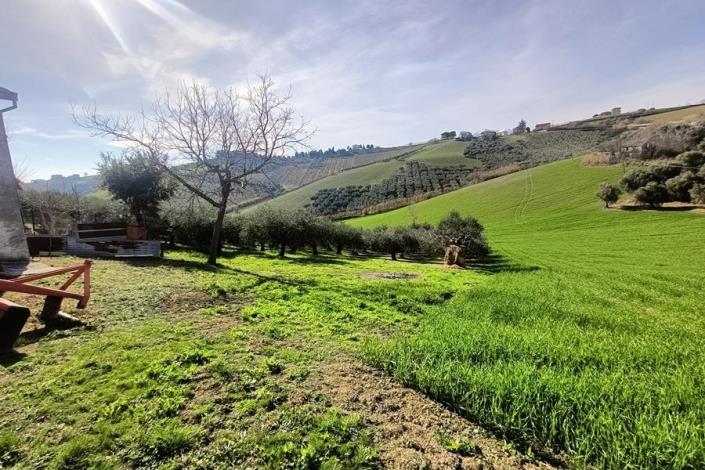 Image No.49-5 Bed Farmhouse for sale