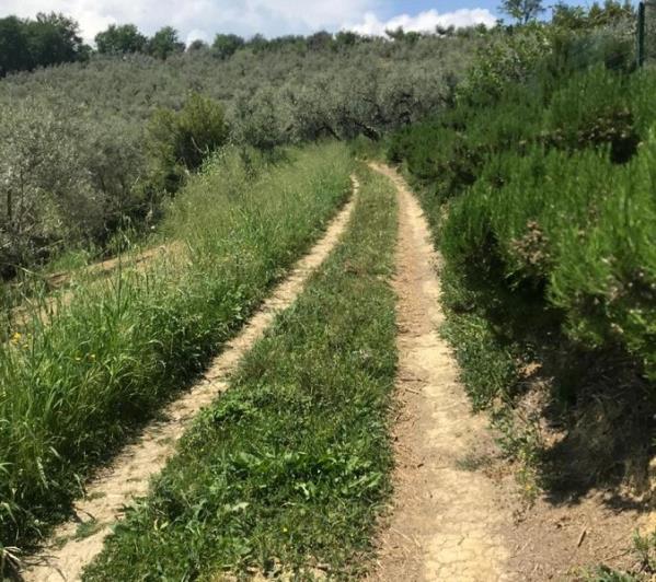 Image No.3-5 Bed Farmhouse for sale