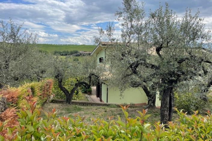 Image No.7-Villa de 4 chambres à vendre à Moscufo