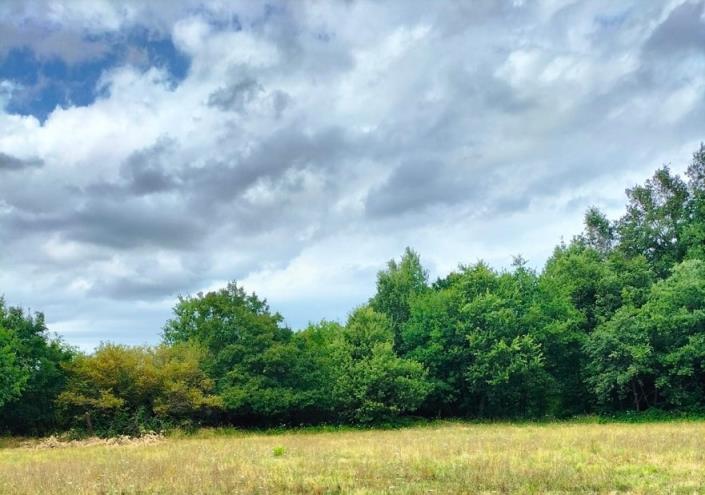 Image No.2-3 Bed Country House for sale