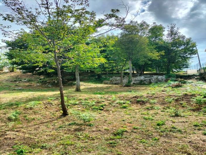 Image No.6-3 Bed Country House for sale