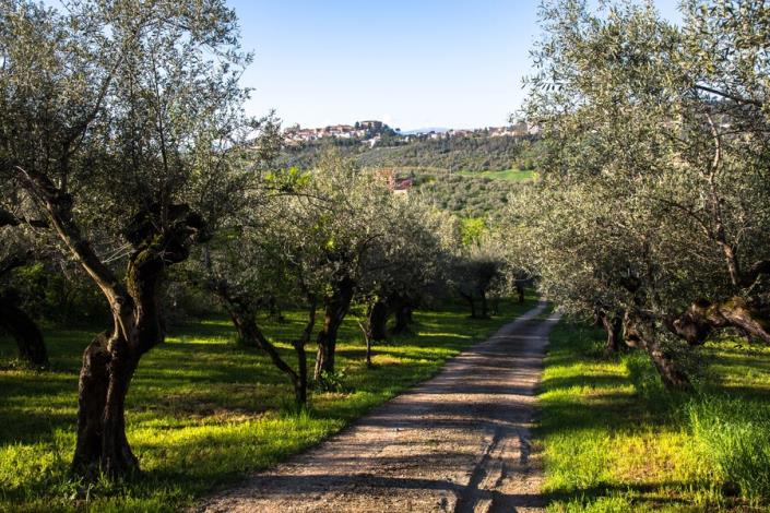 Image No.4-Maison de campagne de 3 chambres à vendre à Loreto Aprutino