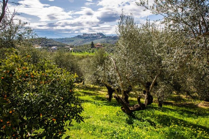 Image No.12-Maison de campagne de 3 chambres à vendre à Loreto Aprutino