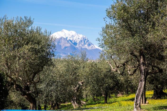Image No.13-Maison de campagne de 3 chambres à vendre à Loreto Aprutino