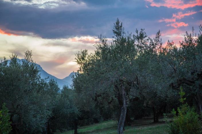 Image No.34-Maison de campagne de 3 chambres à vendre à Loreto Aprutino
