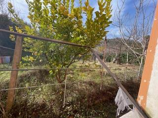 Image No.39-3 Bed Country House for sale