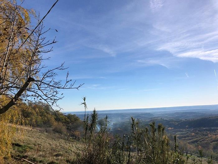 Image No.16-2 Bed Country House for sale