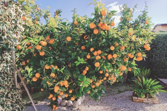 Image No.34-3 Bed Villa / Detached for sale