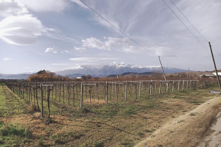 Image No.39-3 Bed Villa / Detached for sale