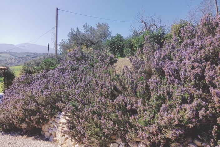 Image No.5-Maison de campagne de 4 chambres à vendre à Cugnoli