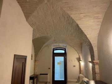 IMG_1231