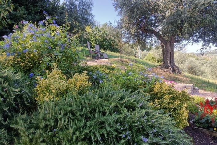 Image No.45-Maison de campagne de 2 chambres à vendre à Citta Sant'Angelo