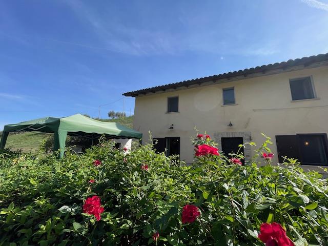 Image No.2-Maison de campagne de 2 chambres à vendre à Manoppello