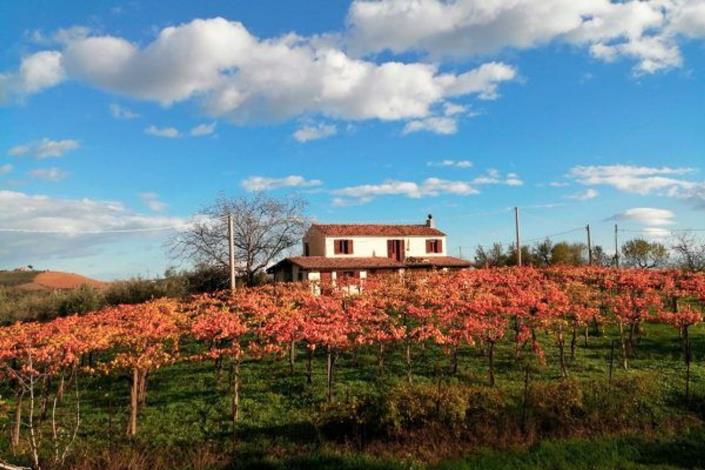 Image No.2-Maison de campagne de 2 chambres à vendre à Loreto Aprutino