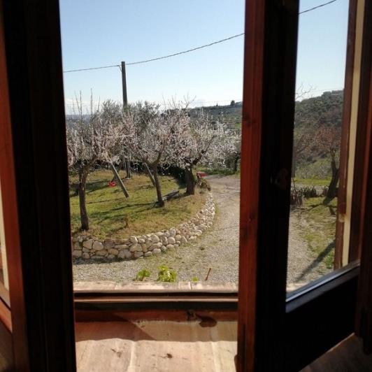 Image No.24-Maison de campagne de 2 chambres à vendre à Loreto Aprutino