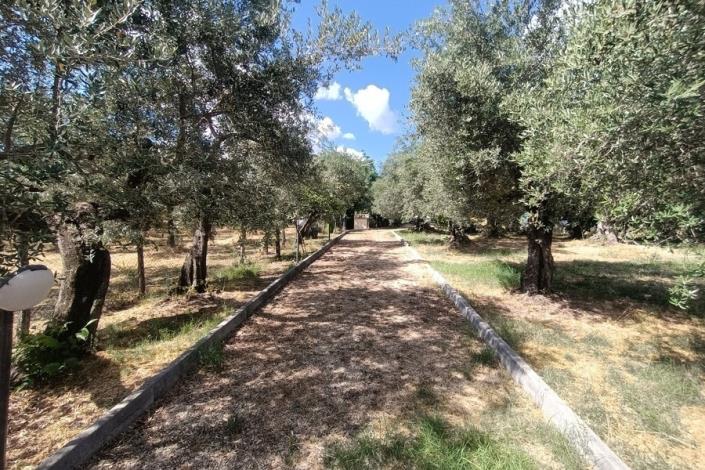 Image No.2-1 Bed Country House for sale