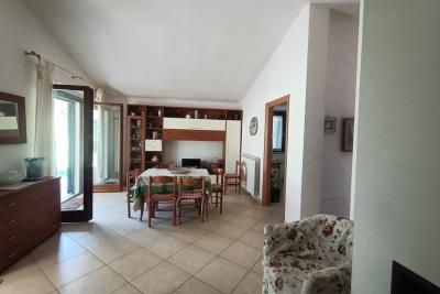 1203_19072025172530408