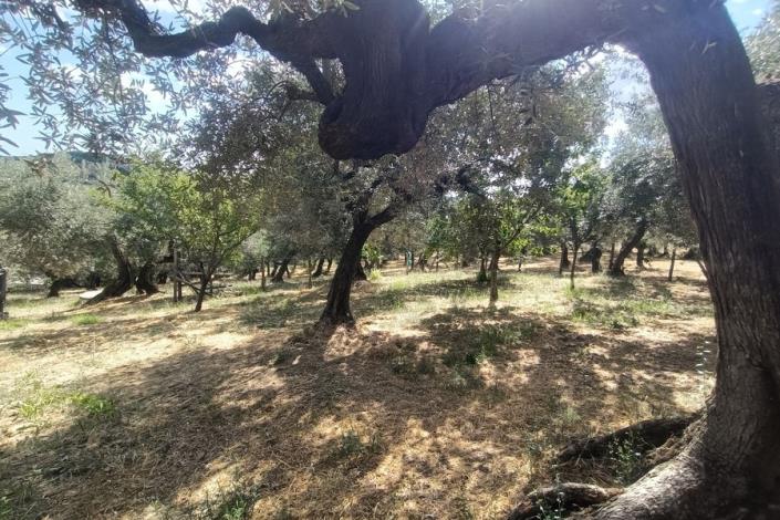 Image No.22-1 Bed Country House for sale