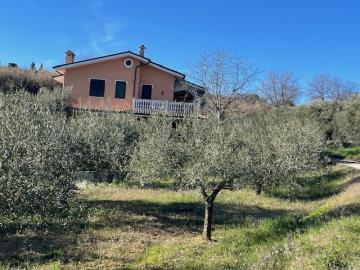 1 - Collecorvino, Villa