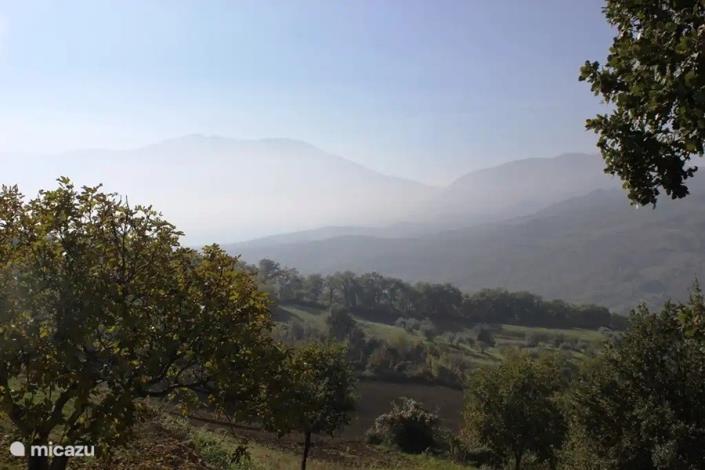 Image No.45-6 Bed Country House for sale