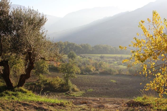 Image No.46-6 Bed Country House for sale