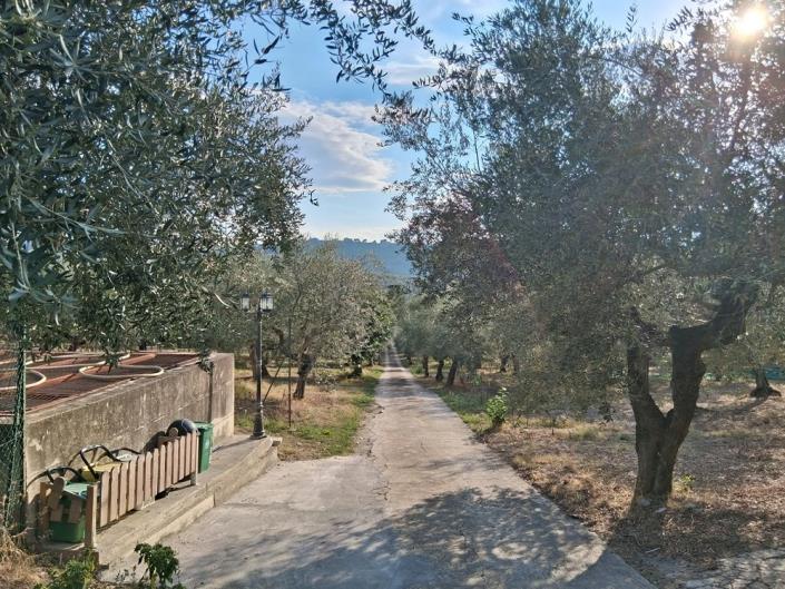 Image No.9-6 Bed Country House for sale