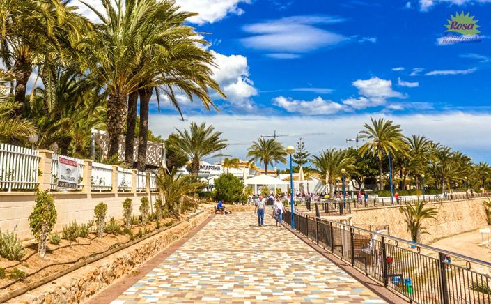 Image No.30-3 Bed Chalet for sale