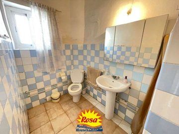 property183751211