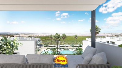 property181582784